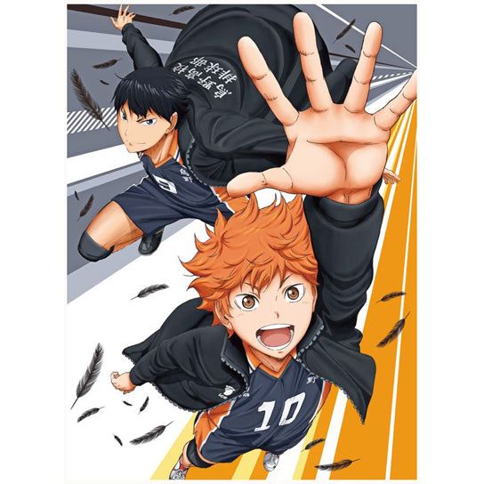 Haikyuu! Wallscroll