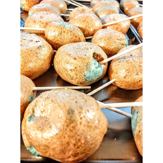 Freeze Dried Caramel Apple Pops