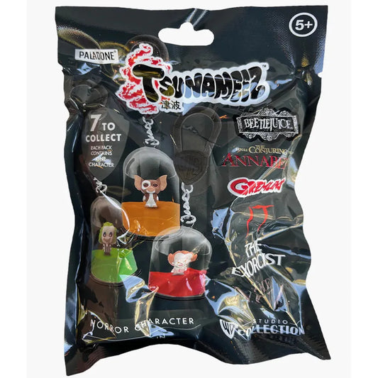 WB Horror Tsunameez Hanger Mystery Bag from Paladone